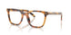 29C1O1 - Tortoise