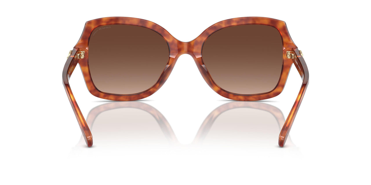 5774T5 - Tortoise - Brown Gradient Polarized
