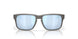 950905 - Grey - Prizm Deep Water Polarized