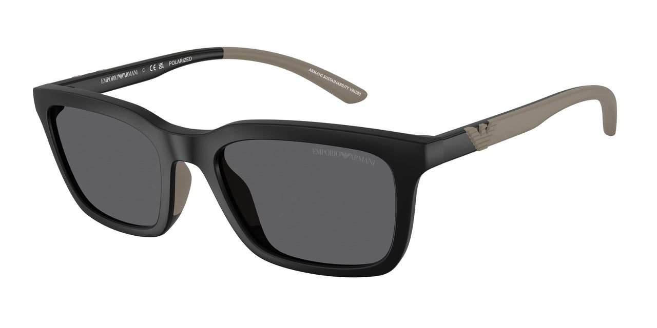 Emporio Armani 4249U Sunglasses