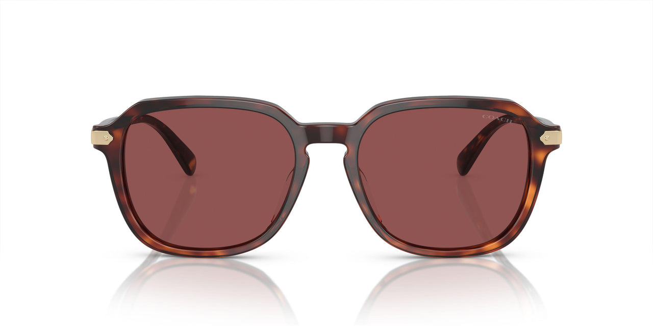 579875 - Dark Tortoise/caramel Tortoise - Violet