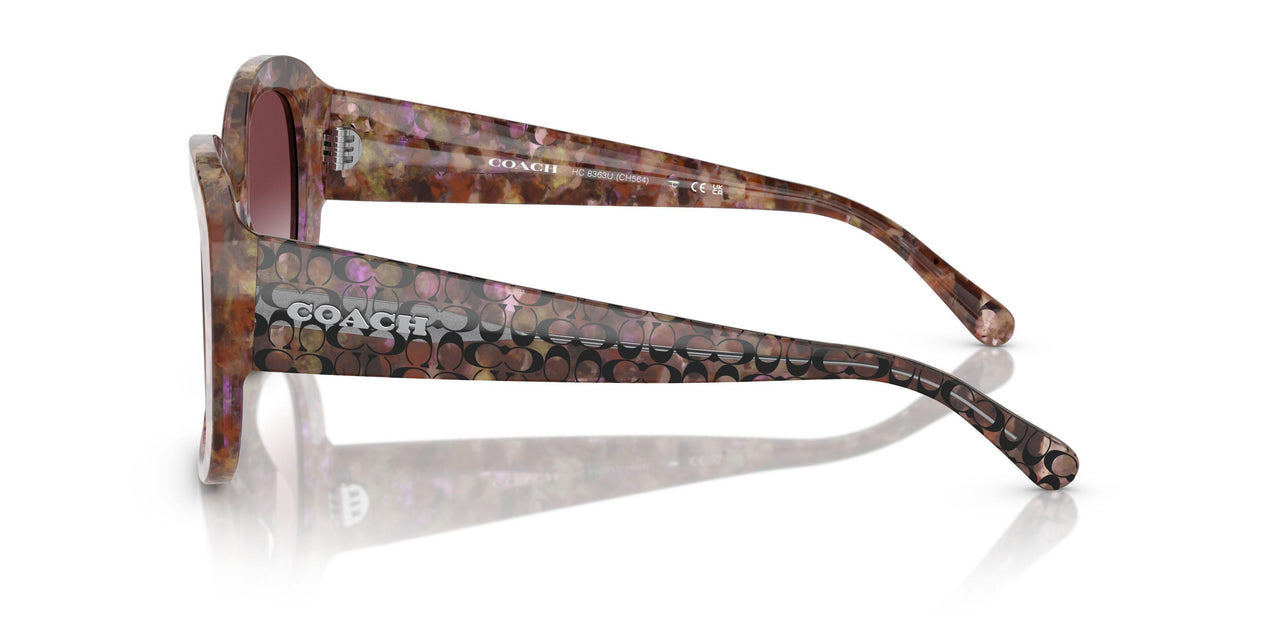 57398H - Tortoise - Purple Clear Gradient