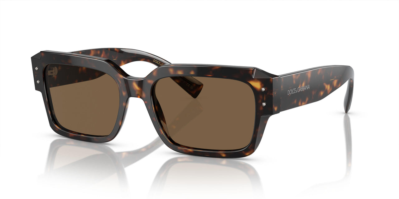 502/73 - Tortoise - Dark Brown