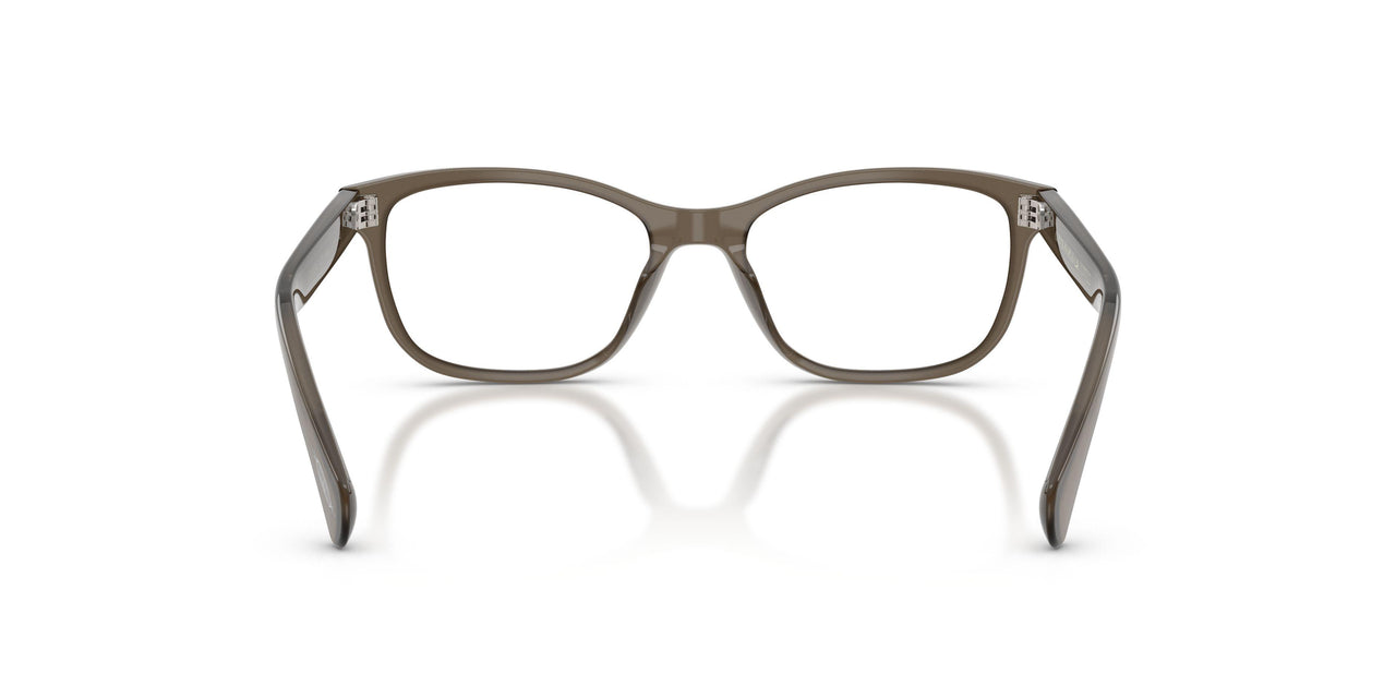 1473 - Brown