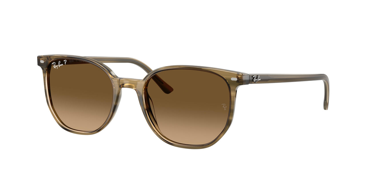 Ray-Ban Elliot 2197F Sunglasses