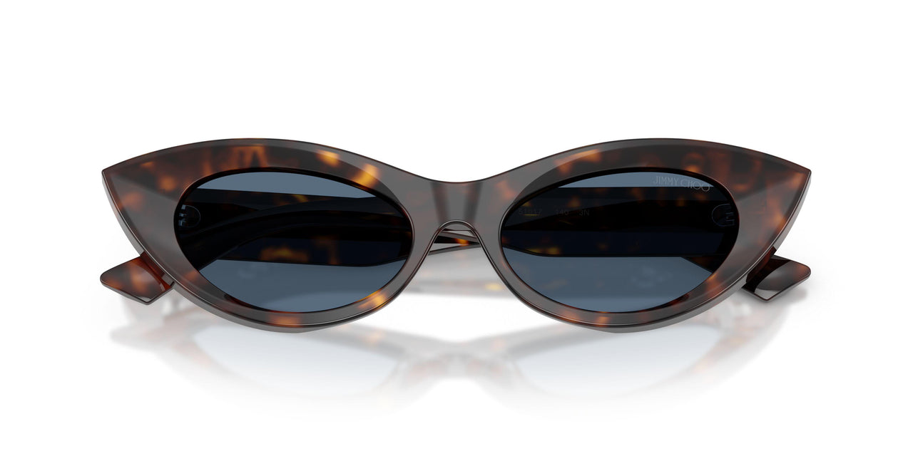500280 - Tortoise - Dark Blue