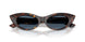 500280 - Tortoise - Dark Blue