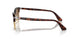 24/51 - Tortoise - Clear Gradient Brown