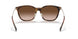710/13 - Tortoise - Brown Gradient Dark Brown