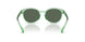 625071 - Green - Dark Green