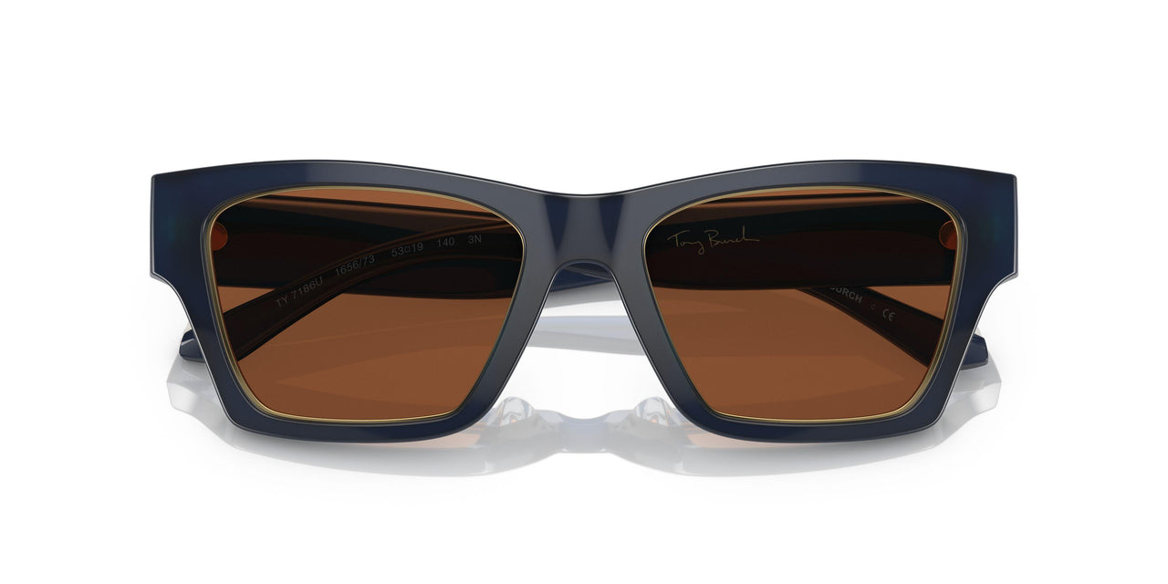 165673 - Blue - Solid Brown