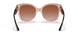 282813 - Pink - Brown Gradient