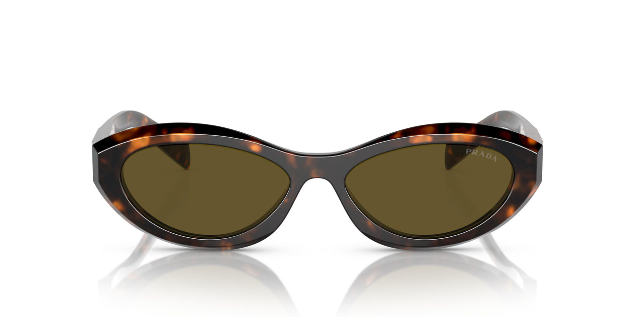 14L09Z - Green - Dark Brown