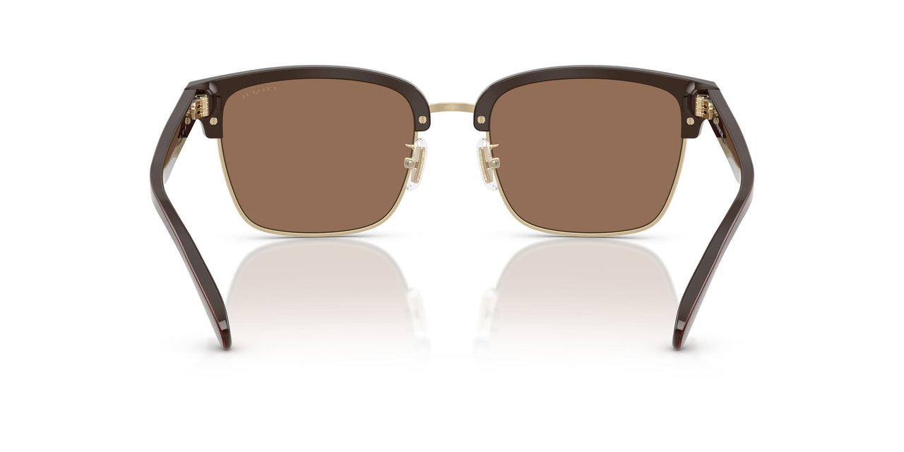 554273 - Gold - Brown Solid