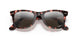 1334G3 - Havana - Polar Clear Gradient Dark Grey