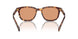 14O07V - Tortoise - Orange