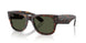 902/31 - Tortoise - Green