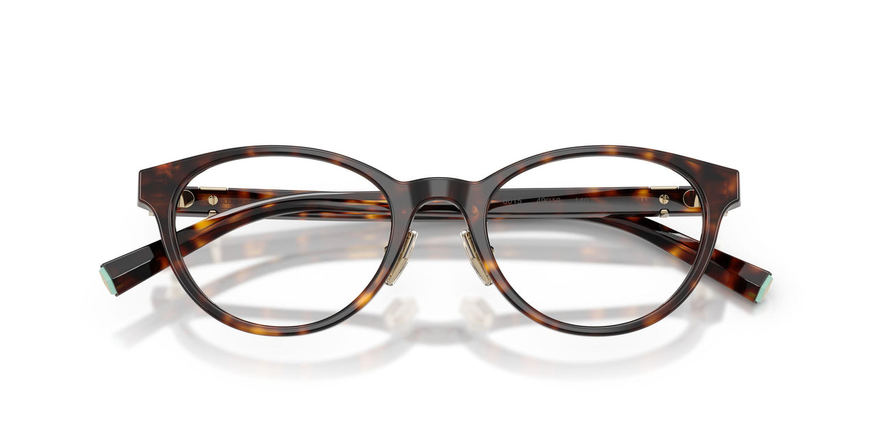 8015 - Tortoise