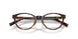 8015 - Tortoise