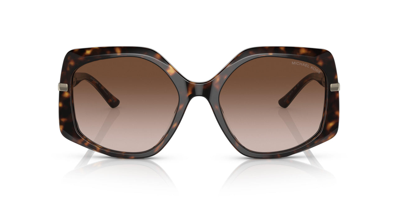 300613 - Havana - Brown Gradient