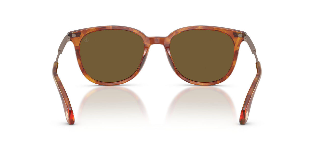 300475 - Tortoise - Mirror Olive