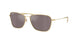 Ray-Ban Caravan Reverse R0102S Sunglasses