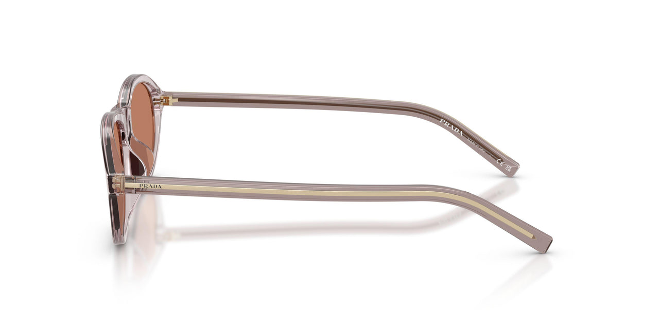 12W10I - Violet - Brown