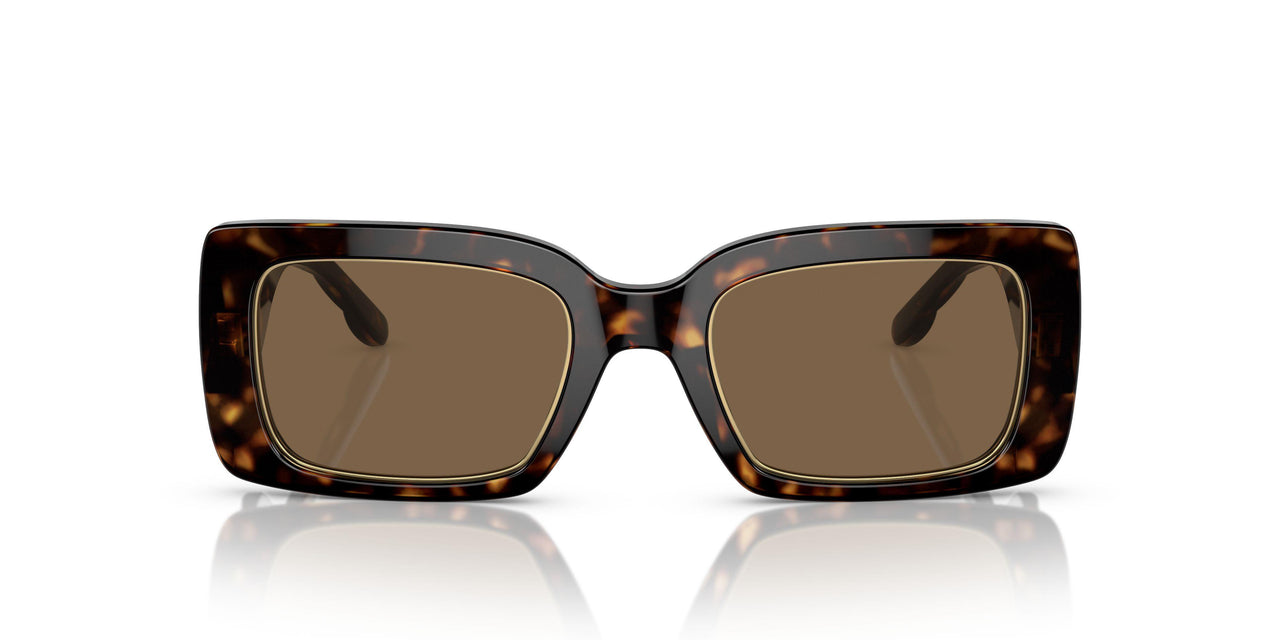 172873 - Tortoise - Dark Brown