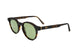 J02 - HAVANA 3627