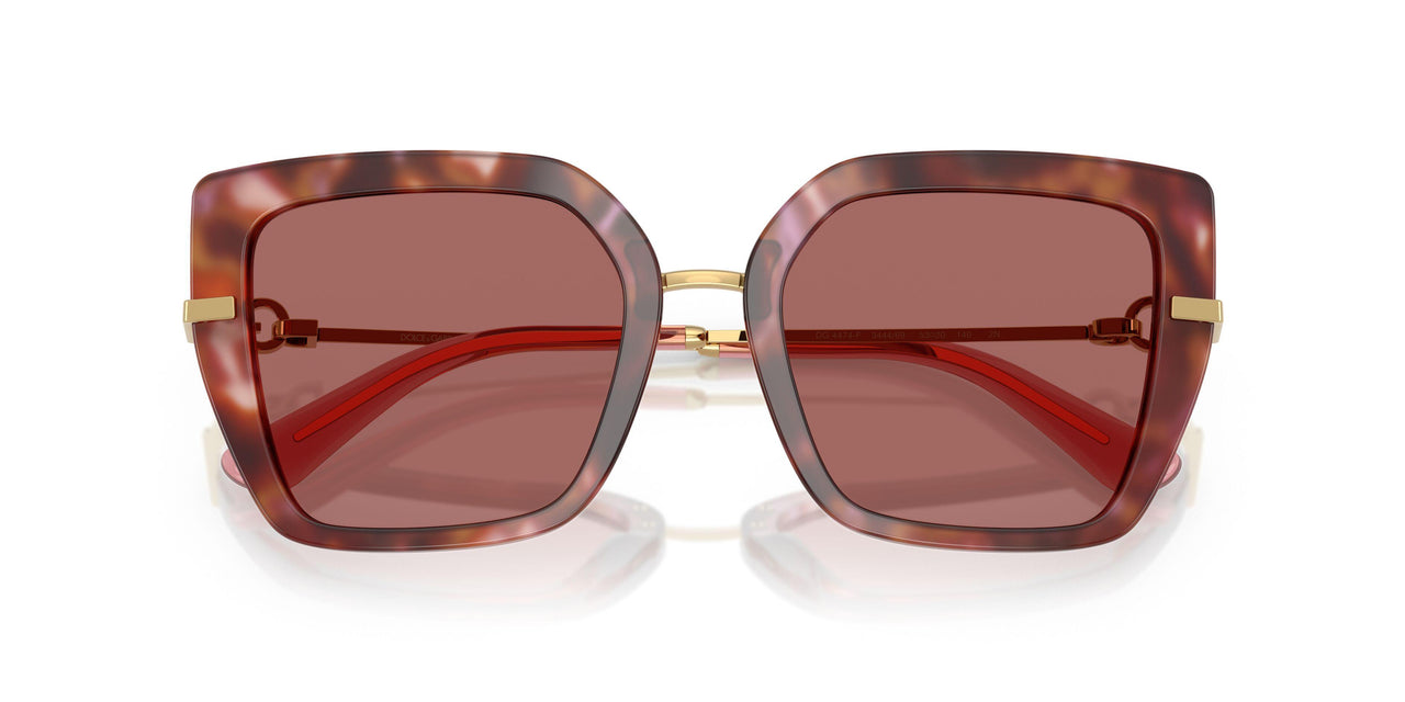 344469 - Tortoise - Dark Violet