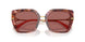 344469 - Tortoise - Dark Violet