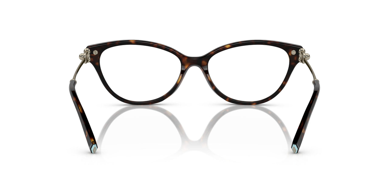 8015 - Tortoise