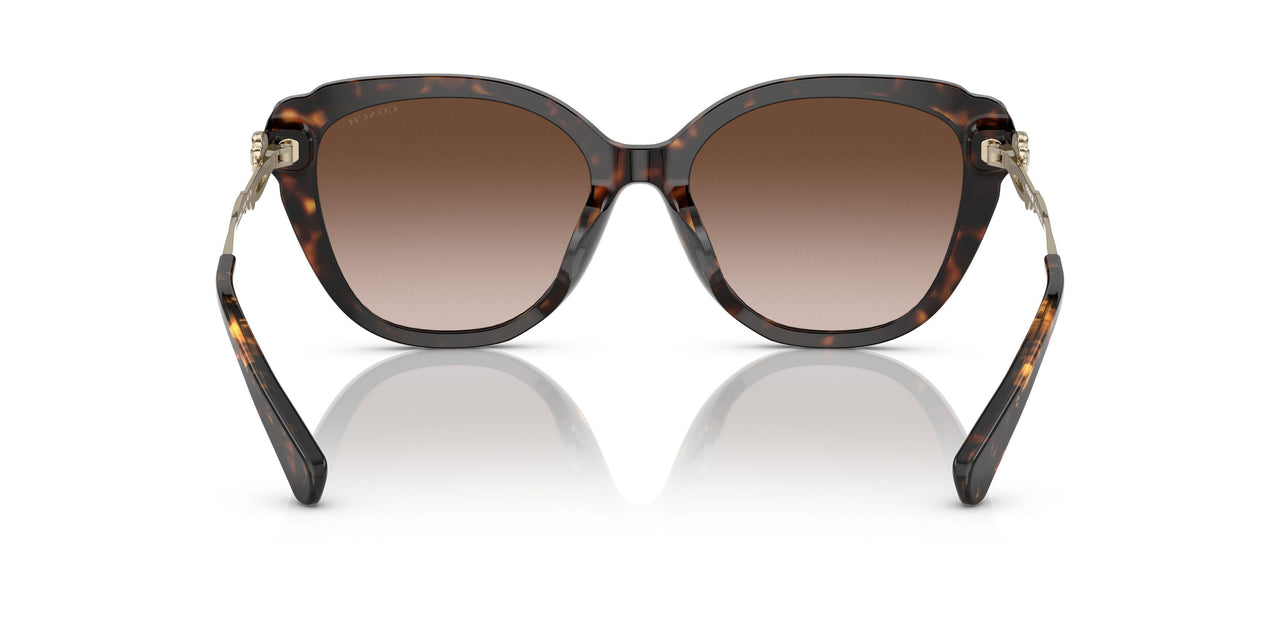 512013 - Havana - Brown Gradient