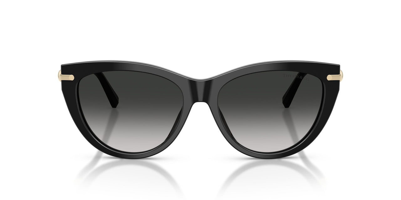80013C - Black - Grey Gradient