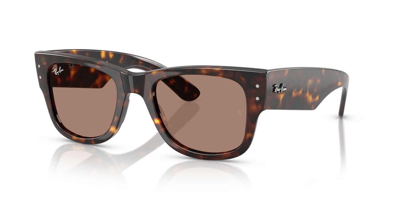902/1A - Tortoise - Light Violet