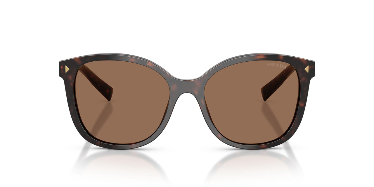 17N06B - Tortoise - Dark Brown