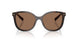 17N06B - Tortoise - Dark Brown
