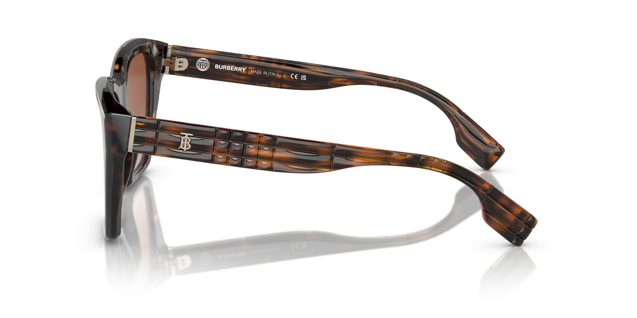 300213 - Brown - Brown Gradient