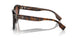 300213 - Brown - Brown Gradient