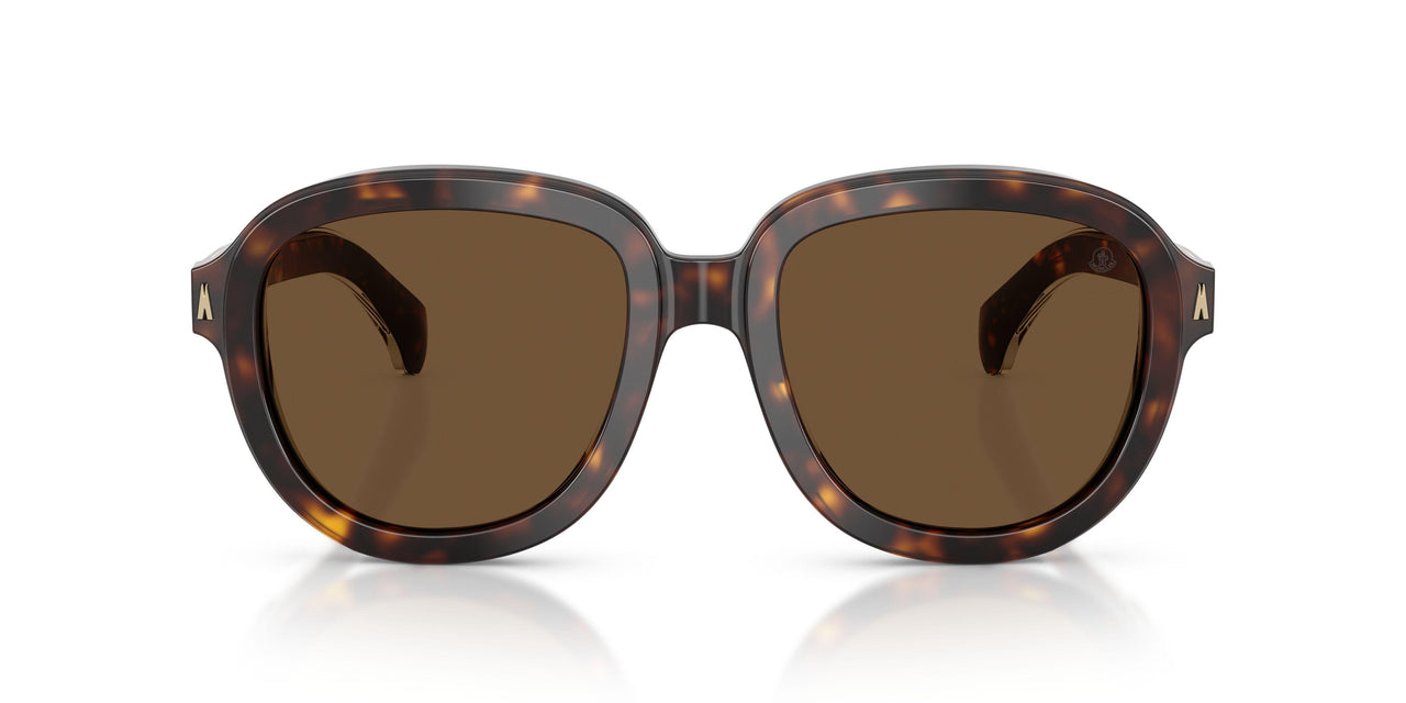300273 - Tortoise - Brown Solid