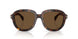 300273 - Tortoise - Brown Solid