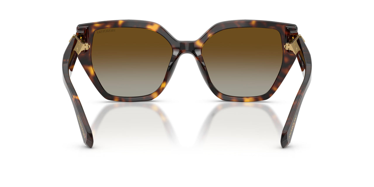 1002T5 - Tortoise - Brown Gradient Polar