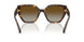 1002T5 - Tortoise - Brown Gradient Polar