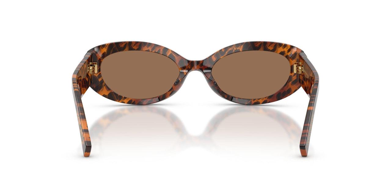 347073 - Brown - Dark Brown