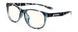 09709 - Navy Tortoise - Clear Neutral-Focus