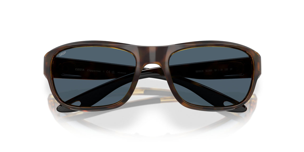 911910 - Tortoise - Gray