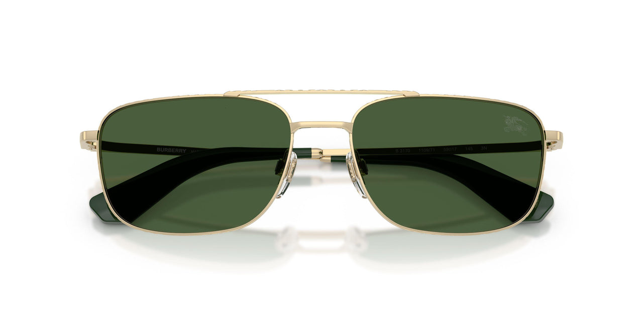 110971 - Gold - Dark Green
