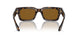 612433 - Tortoise - Brown