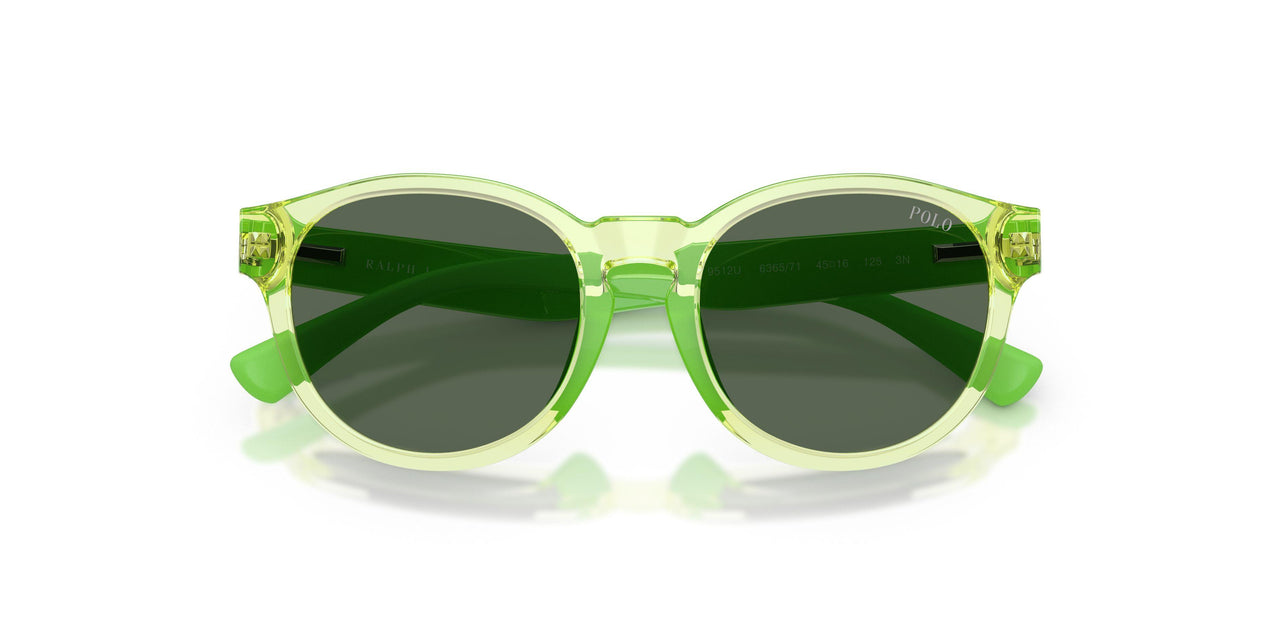 636571 - Green - Dark Green