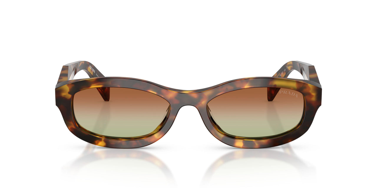 14L70T - Tortoise - Green/brown